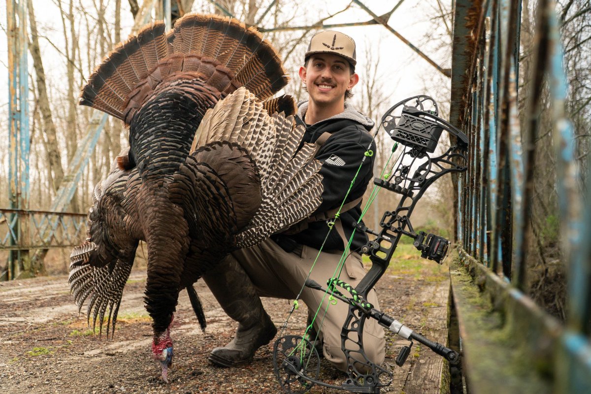 Luke Champnella tweet media