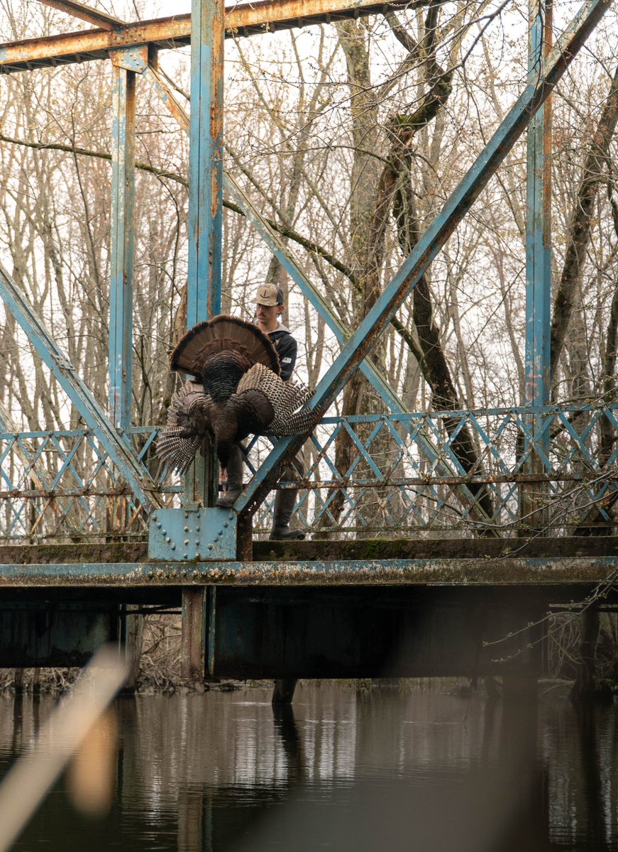 Luke Champnella tweet media