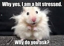 😂 Our latest newsletter has practical strategies to help educators manage stress during these final weeks. 

From sustainable self-care to classroom energy boosters, we've got your back! 💪🏽

Read more at: hubs.la/Q03j0z820