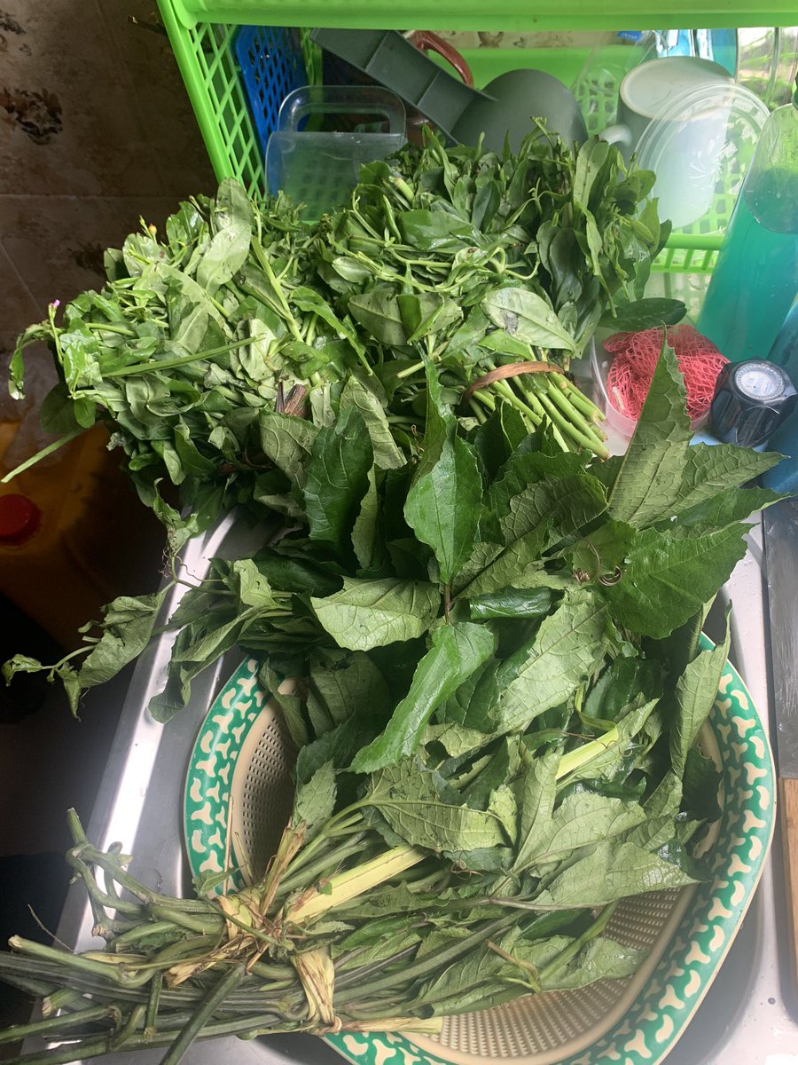 okere_chukwuma's tweet photo. Everyday, I get to see reasons why People prefers the market woman to help them slice their vegetables after buying it because of the last slide😭

#cbexscam #Davido #chioma #northen https://t.co/gQtN6m83ot