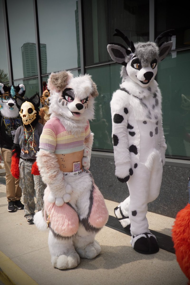 PinkMarbleDog's tweet photo. Remember. If he wanted to, he would. https://t.co/2HwYeq0dBt
