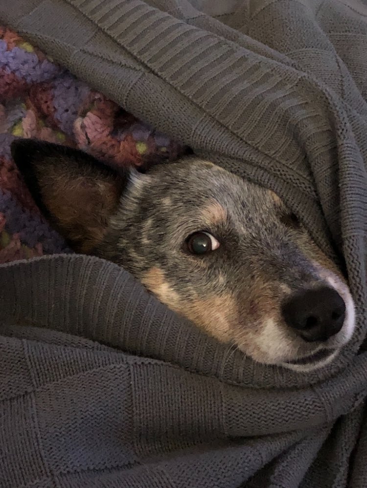 HeatherDirtyLegs👗🐝🌸 tweet media