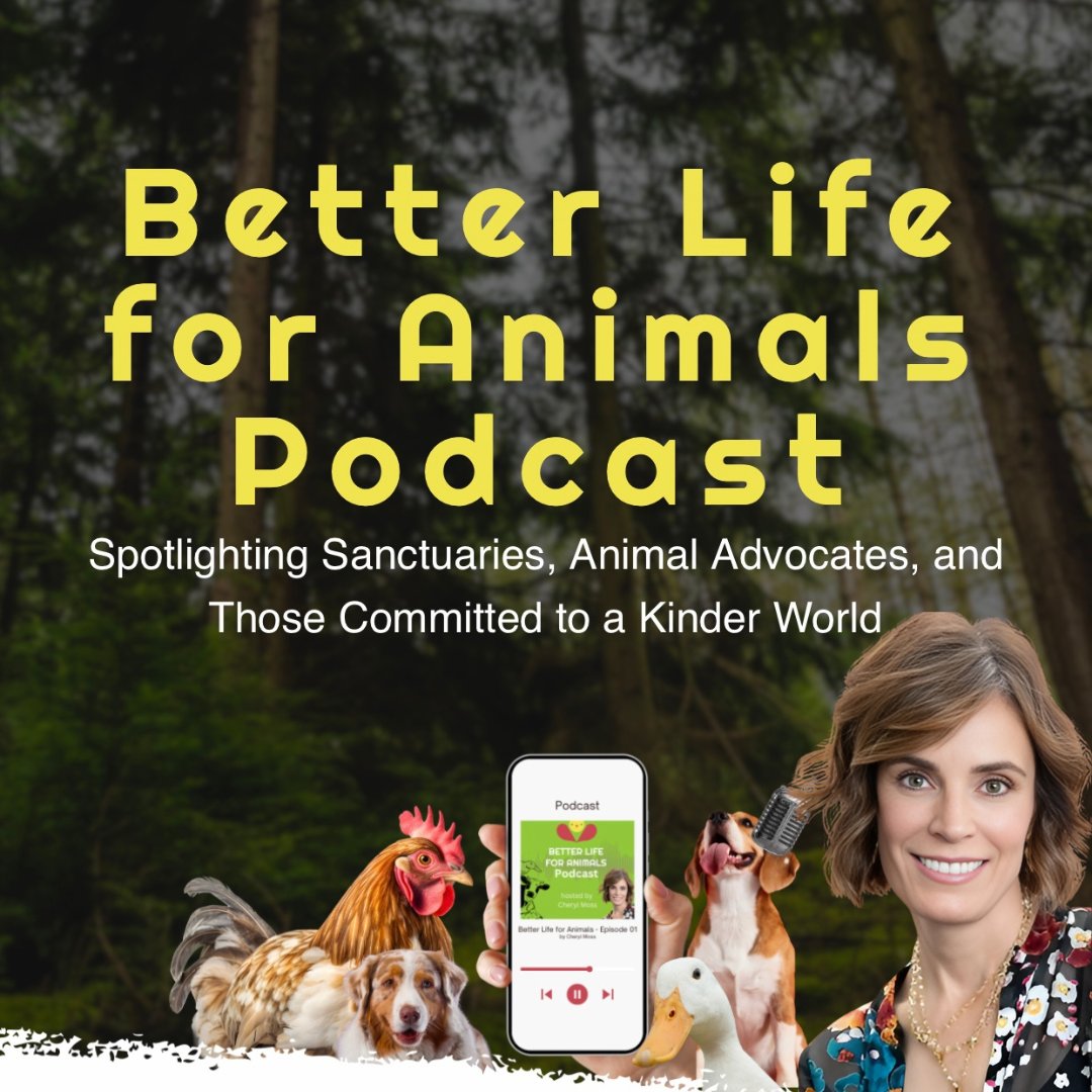 Better Life For Animals tweet media