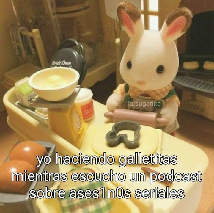 animalitos gorditos (@gordito_perrito) on Twitter photo 