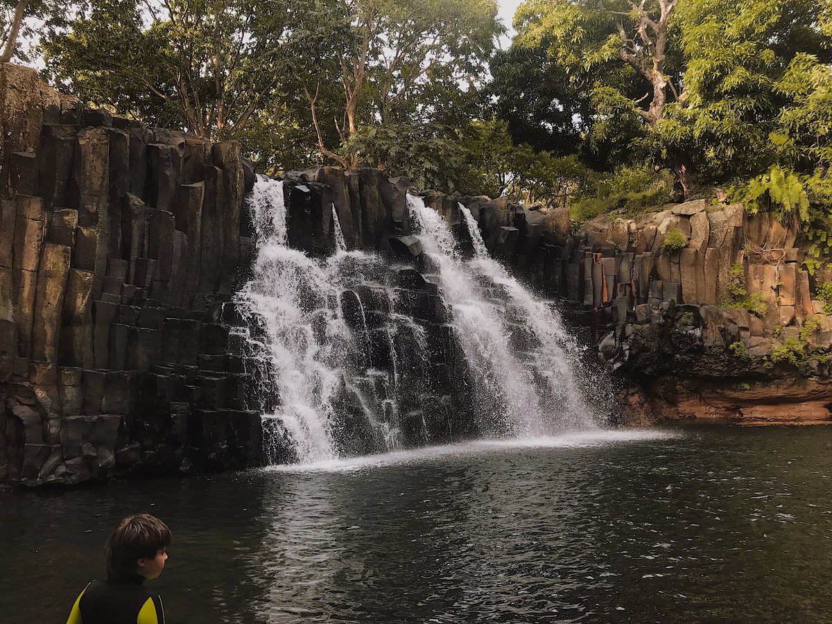 dart goblin shady facts part 6 tweet media