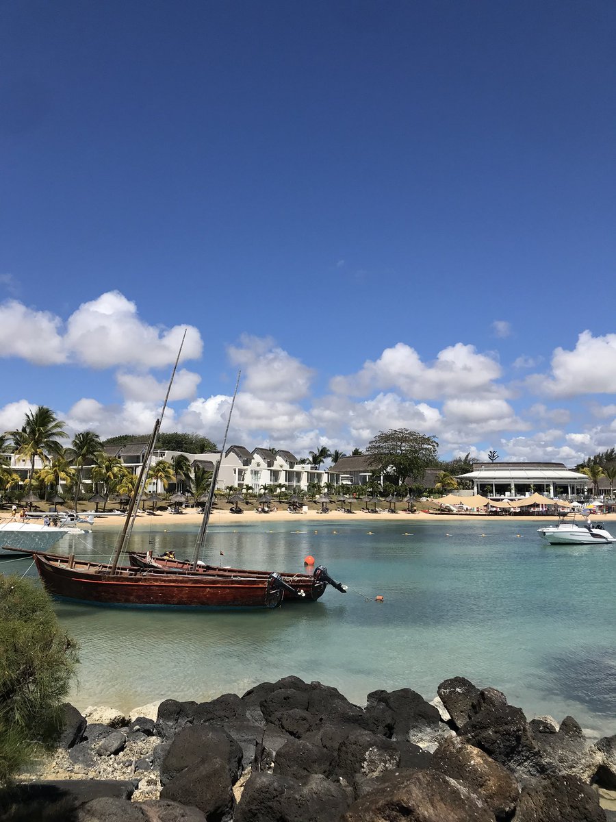 dart goblin shady facts part 6 tweet media