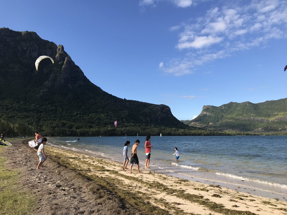 dart goblin shady facts part 6 tweet media