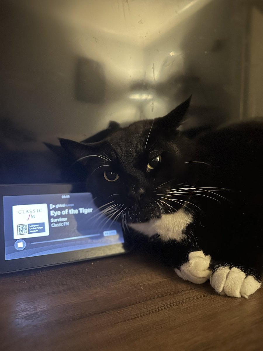 Favourite time of year listening to the <a href="/ClassicFM/">Classic FM</a> Hall of Fame and Simba seems to be enjoying <a href="/annalapwood/">Anna Lapwood</a> on the Royal Albert Hall of Fame this evening. 🎶

#ClassicFM #HallOfFame