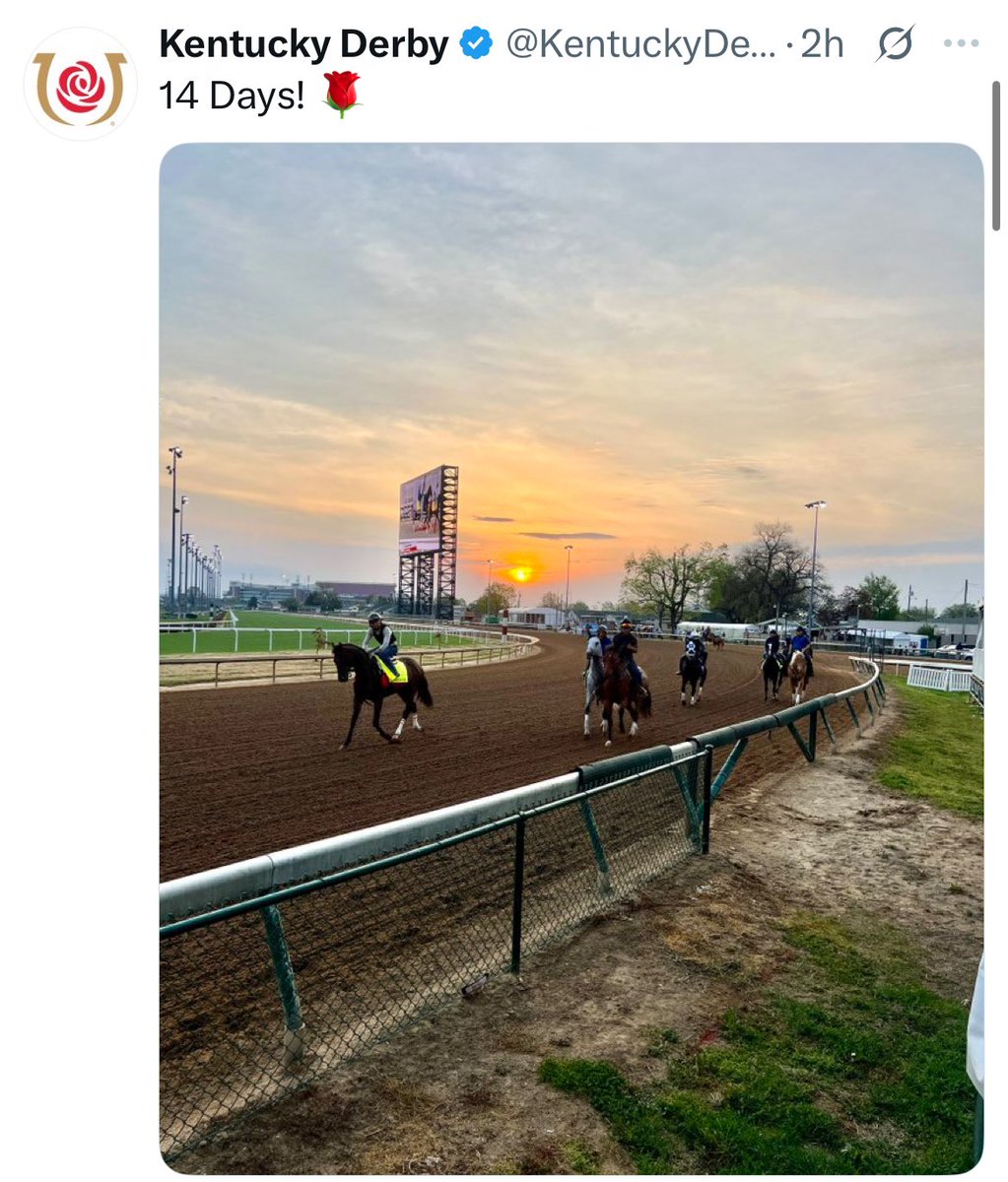 Gary McIntyre (@gary_mcintyre56) on Twitter photo In the last 45 Runnings of the <a href="/KentuckyDerby/">Kentucky Derby</a> only 10 favorites have won the Run for the Roses..🐎🐎🐎🐎. <a href="/gate_podcast/">The Auxiliary Gate Network</a> <a href="/thepressboxlts/">The Pressbox</a> <a href="/damon_thayer/">damon thayer</a> <a href="/BeckerTrackside/">Kurt Becker</a> <a href="/ToddTVG/">Todd Schrupp</a> <a href="/CalebFDTV/">Caleb Keller</a> <a href="/CBredar/">caton bredar</a> <a href="/JoeTalamo/">Joe Talamo</a> <a href="/Smac300842/">Stephen A. McIntyre</a> <a href="/StephenATurner/">Stephen A Turner</a> <a href="/FanDuelTVMike/">TV's Mike Joyce</a> photo credit <a href="/KentuckyDerby/">Kentucky Derby</a> In the last 45 Runnings of the <a href="/KentuckyDerby/">Kentucky Derby</a> only 10 favorites have won the Run for the Roses..🐎🐎🐎🐎. <a href="/gate_podcast/">The Auxiliary Gate Network</a> <a href="/thepressboxlts/">The Pressbox</a> <a href="/damon_thayer/">damon thayer</a> <a href="/BeckerTrackside/">Kurt Becker</a> <a href="/ToddTVG/">Todd Schrupp</a> <a href="/CalebFDTV/">Caleb Keller</a> <a href="/CBredar/">caton bredar</a> <a href="/JoeTalamo/">Joe Talamo</a> <a href="/Smac300842/">Stephen A. McIntyre</a> <a href="/StephenATurner/">Stephen A Turner</a> <a href="/FanDuelTVMike/">TV's Mike Joyce</a> photo credit <a href="/KentuckyDerby/">Kentucky Derby</a>