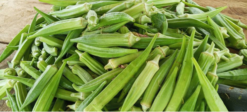 acprdcongo's tweet photo. #RDC : le Projet agricole "#Kisonga", en cours d'exécution dans le territoire de #Songololo, vise à produire diverses cultures vivrières en vue de lutter contre l'insécurité alimentaire dans le Kongo Central, dans province du Sud-ouest de la République démocratique du Congo, a appris l'#ACP samedi, dans un entretien avec un expert.
"Nous sommes en train de développer le +Projet agricole Kisonga+ ici à Songololo, pour produire une diversité des cultures vivrières dans le cadre de la lutte contre l'insécurité alimentaire et le chômage. Ce Projet peut impacter l'opinion", a déclaré Alphonse Mutumba, un ingénieur agronome supervisant ledit Projet.

Découvrez d'autres informations sur notre site web : https://t.co/tGEWJ2Bgzn