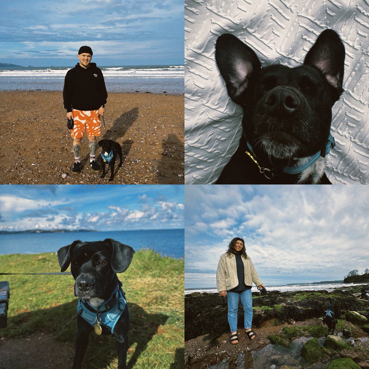 Sam Clark tweet media