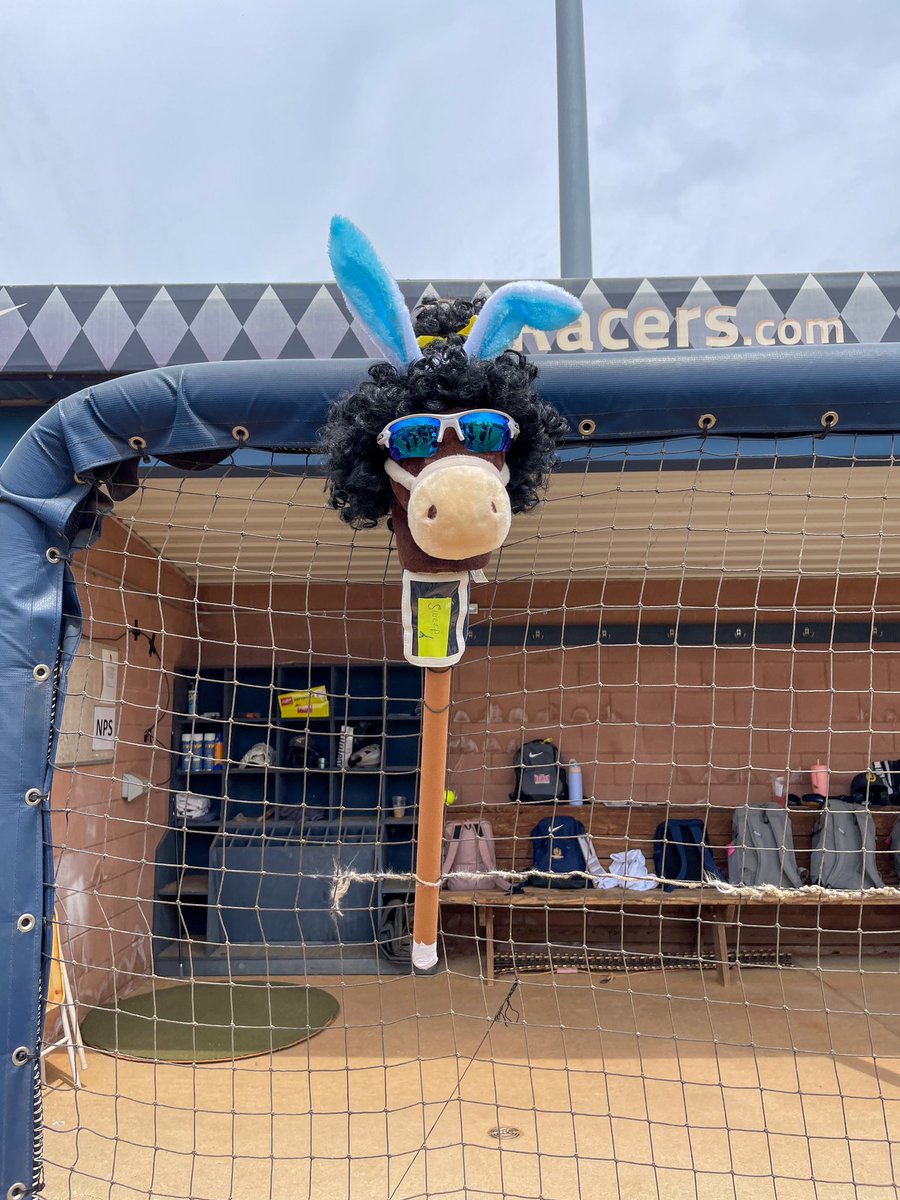 RacersSoftball's tweet photo. 𝗪𝗵𝗮𝘁, 𝗹𝗶𝗸𝗲 𝗶𝘁’𝘀 𝘀𝘂𝗽𝗽𝗼𝘀𝗲𝗱 𝘁𝗼 𝗯𝗲 𝗵𝗮𝗿𝗱? 😮‍💨

#GoRacers🏇 https://t.co/OphsgXSclO