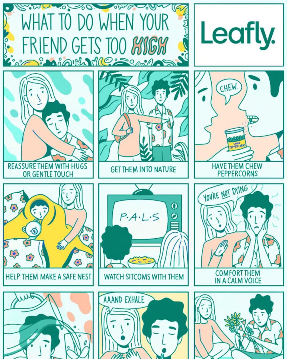 We’ve all been there: you lit the perfect j, took an expertly-timed dabadoo, munched on an artisanal edible. Then—without warning—warm fuzzy feelings turn prickly, your laughter turns to dust, and you find yourself lost in an anxious haze with no end in sight.

For terrifying