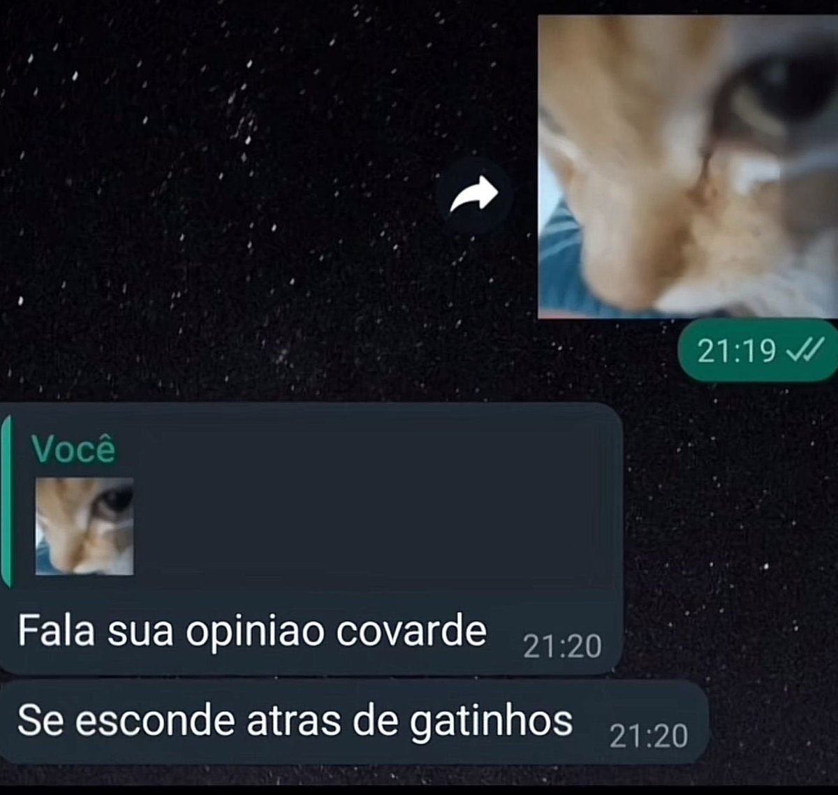 SemMotivoApa's tweet photo. https://t.co/7MKUOFwLIb