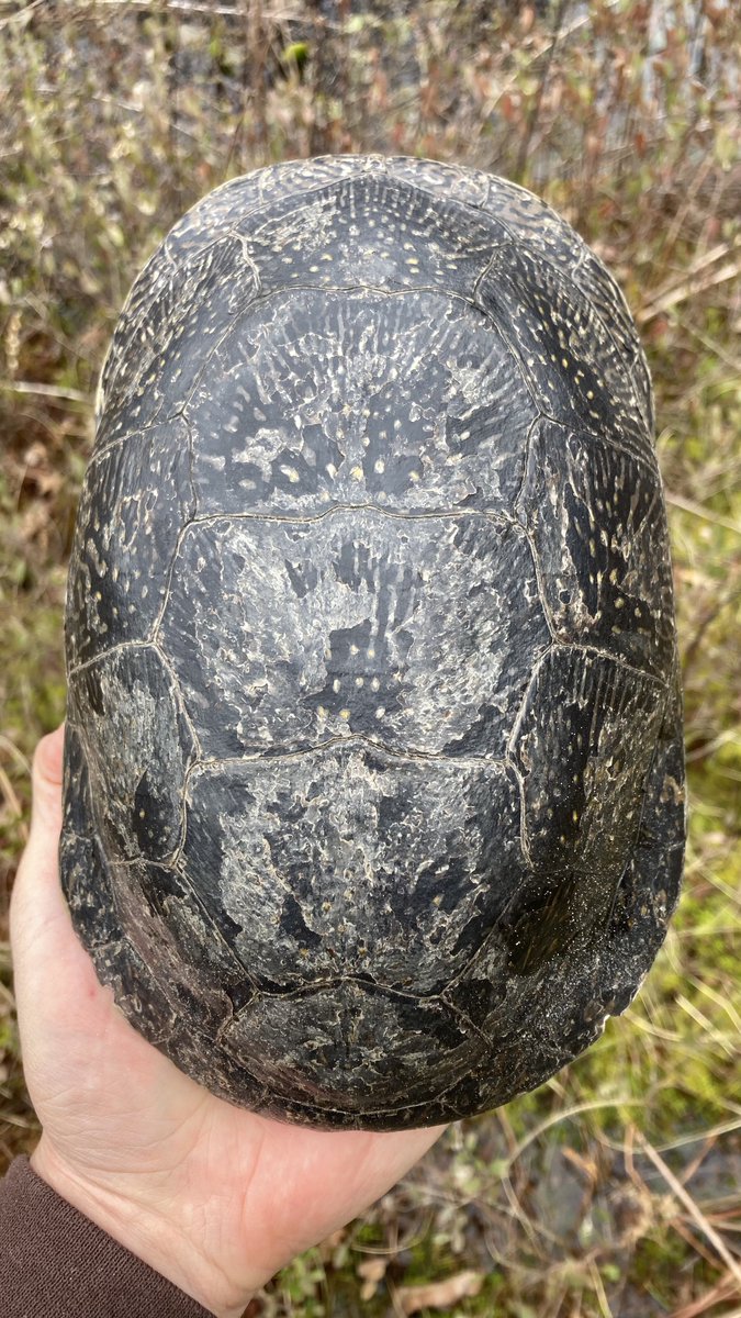 Caleb Krueger tweet media