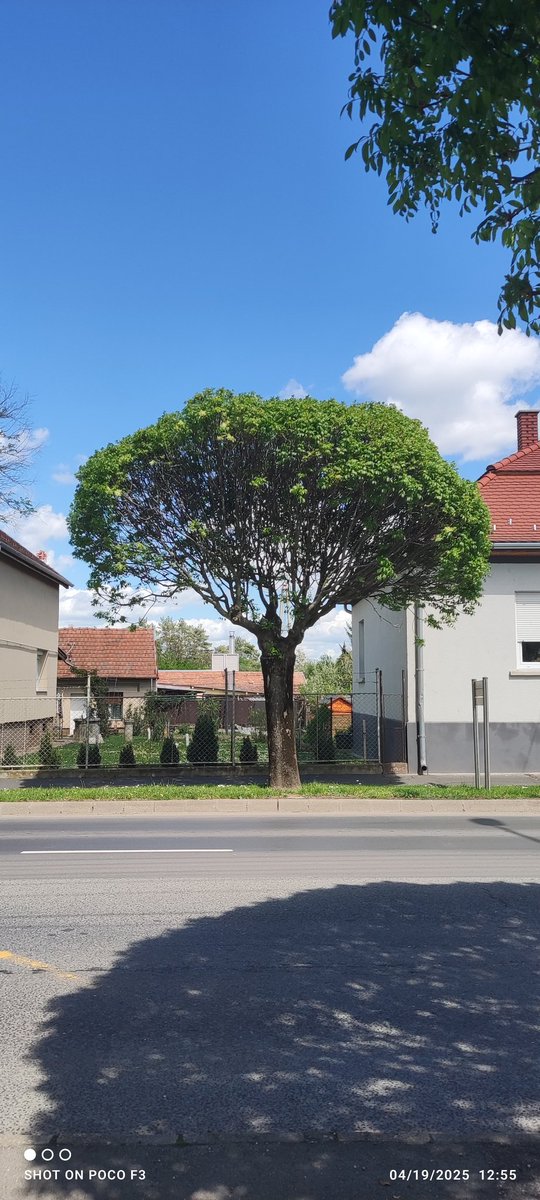 freakinpark tweet media