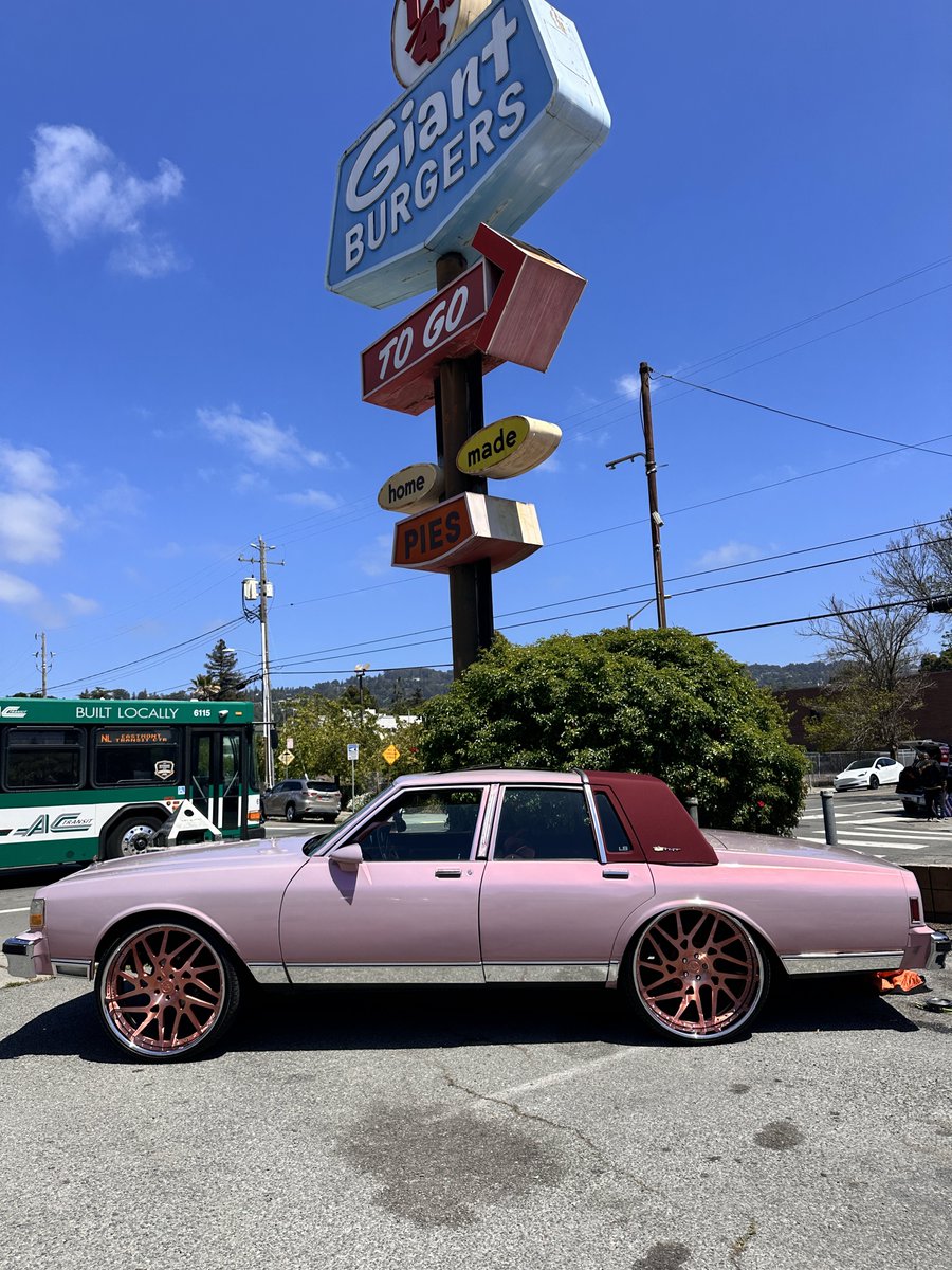 iamsydneywelch's tweet photo. it’s a beautiful day in the town 🩷 https://t.co/iXajaqtcBz