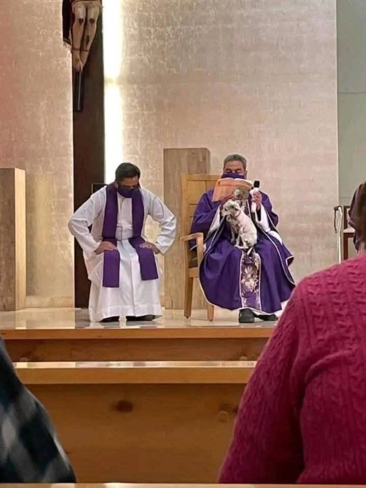 El sacerdote dijo:
“Perdón pero mi perro ya es muy mayor y se pone muy mal, y llora si lo dejo sólo.” 

"Amarás a tu prójimo, como a ti mismo".
