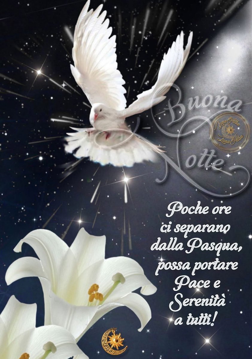 RITABIANCHi56 tweet media