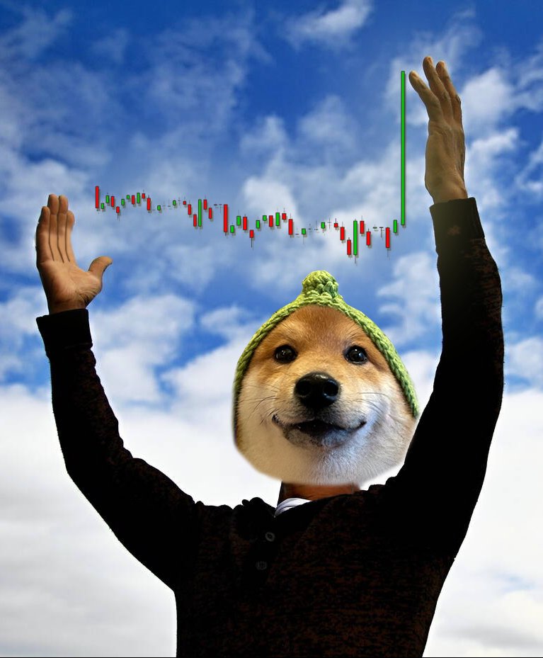 HelloLouChews's tweet photo. @CoyodyUgly @CoinMarketCap https://t.co/KhPx0c27dR