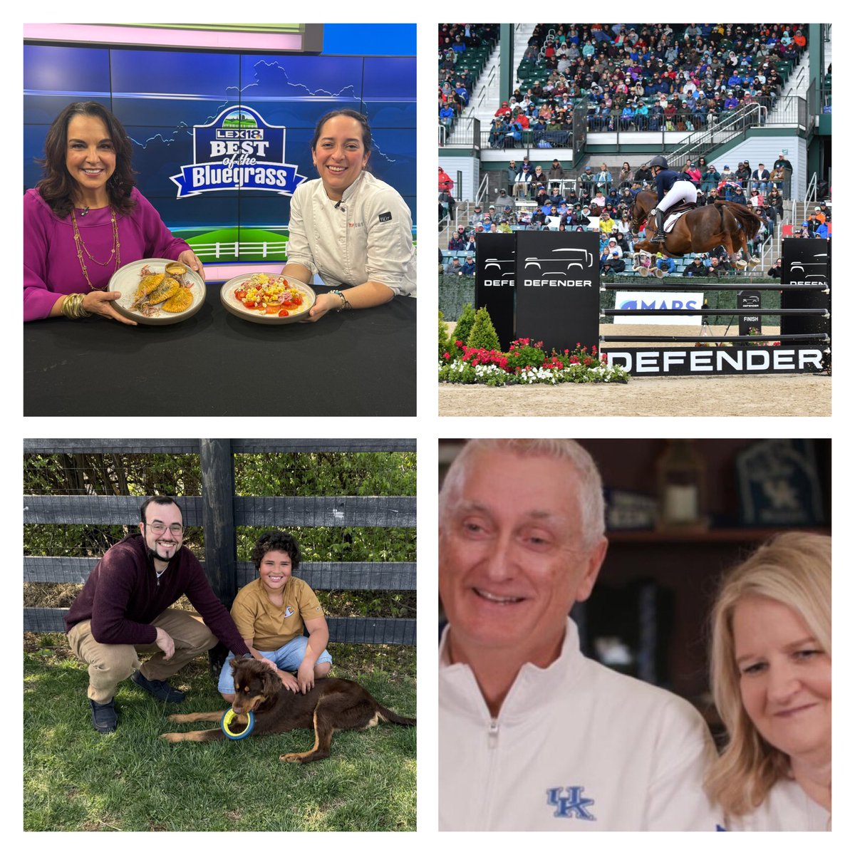 Jennifer Palumbo (@jennimepalumbo) on Twitter photo Tonight on #BestoftheBluegrass:
⭐️ <a href="/BravoTopChef/">Bravo Top Chef</a> has a Lexington connection. Paula Endara shares her journey and two delicious dishes.
⭐️ <a href="/KyThreeDayEvent/">Defender Kentucky Three-Day Event</a> returns to the <a href="/KyHorsePark/">Kentucky Horse Park</a>.
⭐️ Make a difference during National Volunteer Week with <a href="/BBBSBluegrass/">BBBSBluegrass</a> and Tonight on #BestoftheBluegrass:
⭐️ <a href="/BravoTopChef/">Bravo Top Chef</a> has a Lexington connection. Paula Endara shares her journey and two delicious dishes.
⭐️ <a href="/KyThreeDayEvent/">Defender Kentucky Three-Day Event</a> returns to the <a href="/KyHorsePark/">Kentucky Horse Park</a>.
⭐️ Make a difference during National Volunteer Week with <a href="/BBBSBluegrass/">BBBSBluegrass</a> and