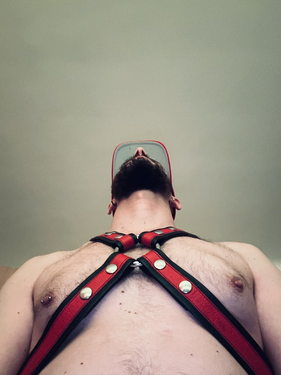 scrtbtmn's tweet photo. You see red. I see your limits breaking. Get on your knees!
#GayKink #FistingLife #HarnessDaddy #GayKink #GayDaddy https://t.co/U7pKshAtJI
