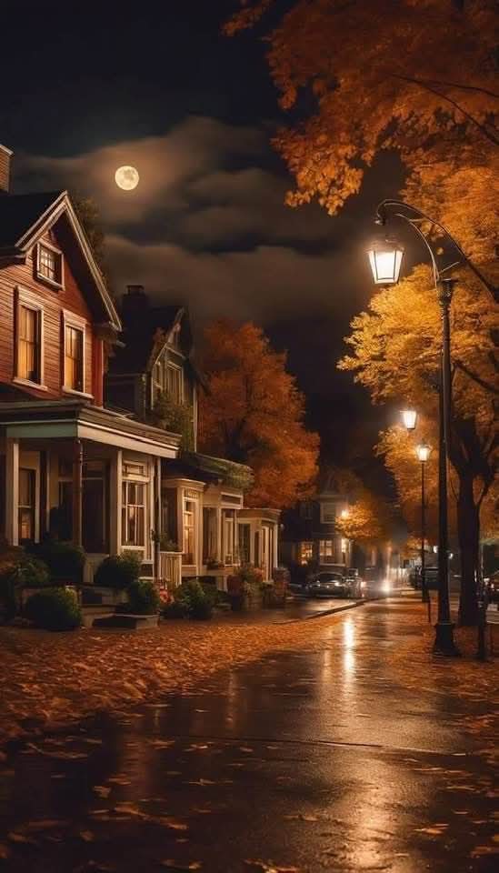 Kristal38922455's tweet photo. Good night sweet friends 🍂🍁🌓🍁🍂 https://t.co/4S23xKW4RX