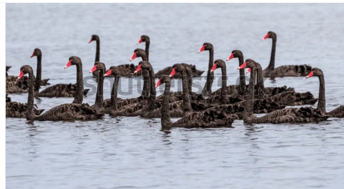 Allah yardımcımız olsun...