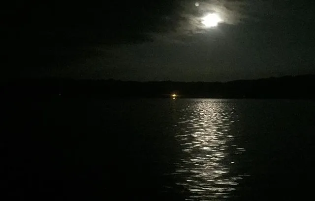 𝓭𝙚𝙖𝙣 - 𝙤 . tweet media