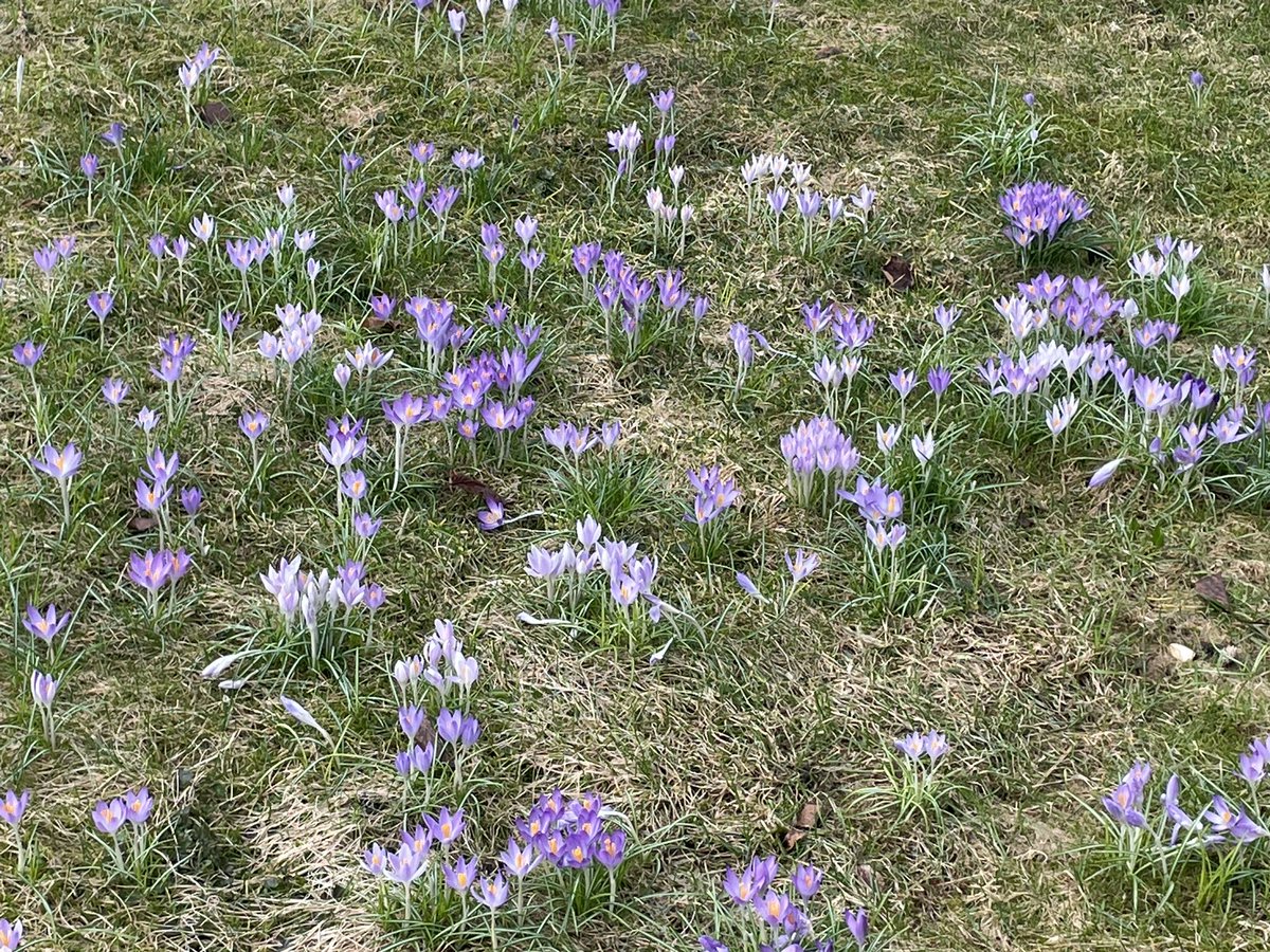 Ruth Schmid tweet media