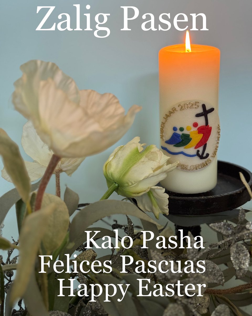 Theo Reijn tweet media