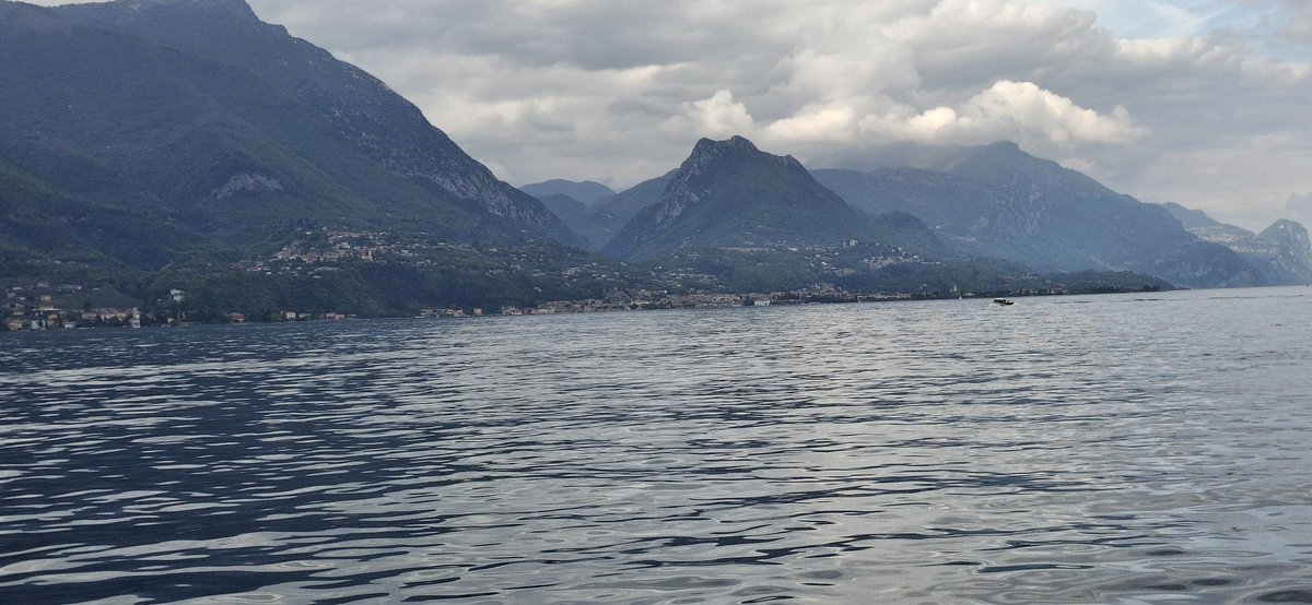 Mark Thomas tweet media