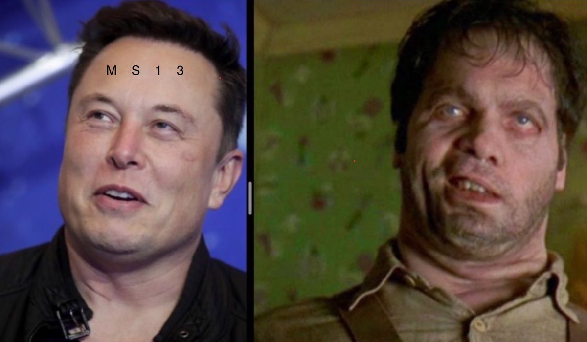 The proof! Musk is an Alien and member of the MS-13! Send him back to Mars!