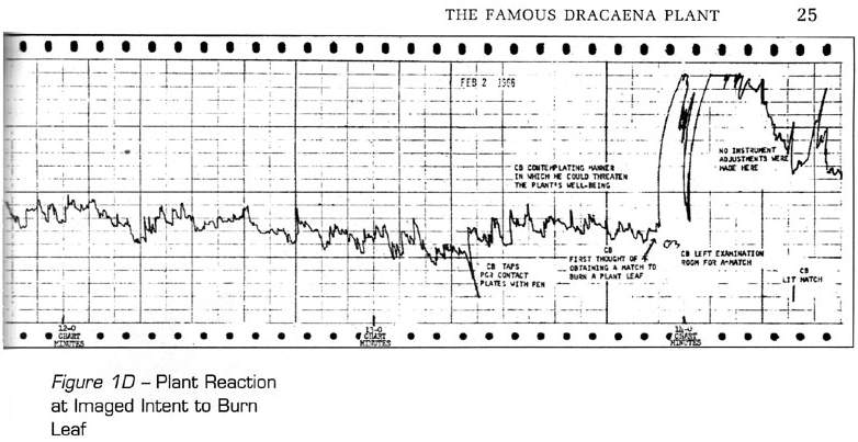 thedarshakrana's tweet photo. ⚡️ CHILLING

Iin 1966, a CIA polygraph expert accidentally discovered we're in a simulation

He hooked plants to lie detectors

Then watched in awe as they:

• Sense thoughts
• React to harm
• Recall events

After seeing the evidence, nothing in your world will seem the same:🧵