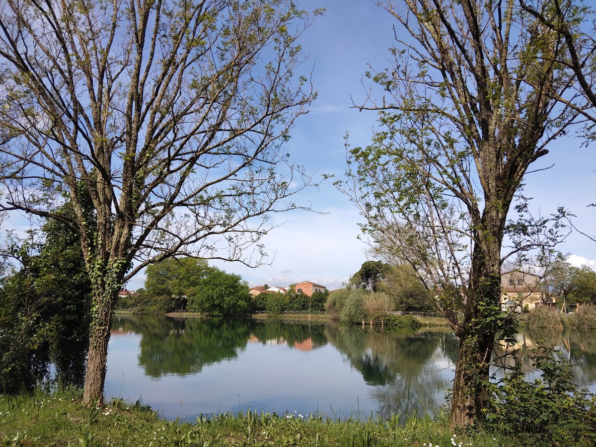Lavinia Maddaluno tweet media