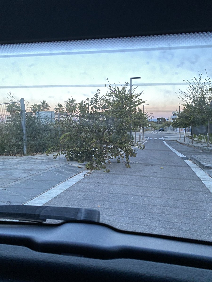 mervalriv's tweet photo. @AjSitges @policiaSitges Arbre caigut al carrer de Joaquim Folch cantonada amb el carrer Pepe de Garraf. Dificulta pas de vehicles i vianants. https://t.co/znh9vrBasm