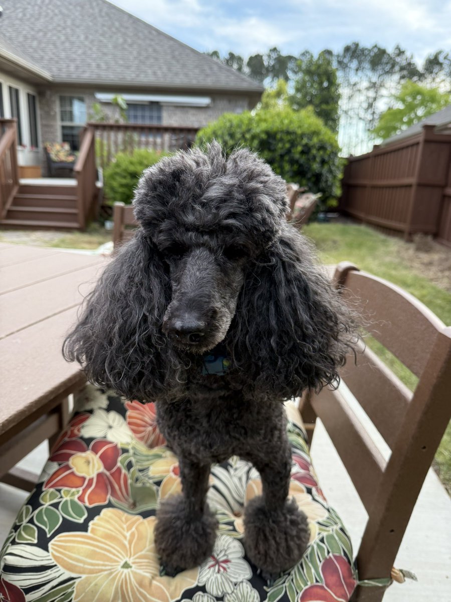 Cheers to the start of unpacking… Just moved to North Carolina from Jersey