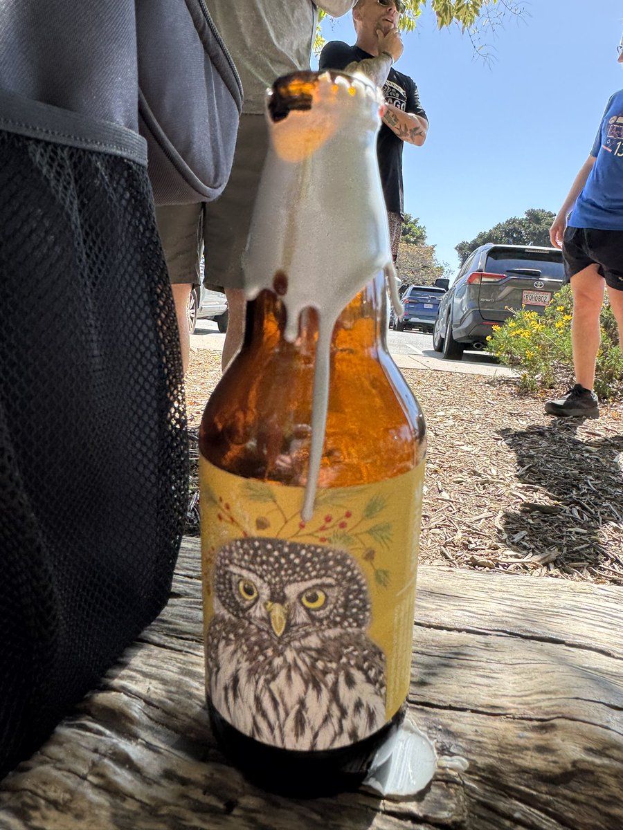 CoachHop's tweet photo. ☀️🏃🏼 #SundayMorning #ThirdSaturday #run #MikkellerRunClubSD #SanDiego #BalboaPark #sunshine #craftbeer https://t.co/TShEHCyNgz