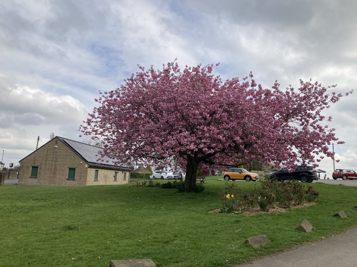 Stannington Library tweet media