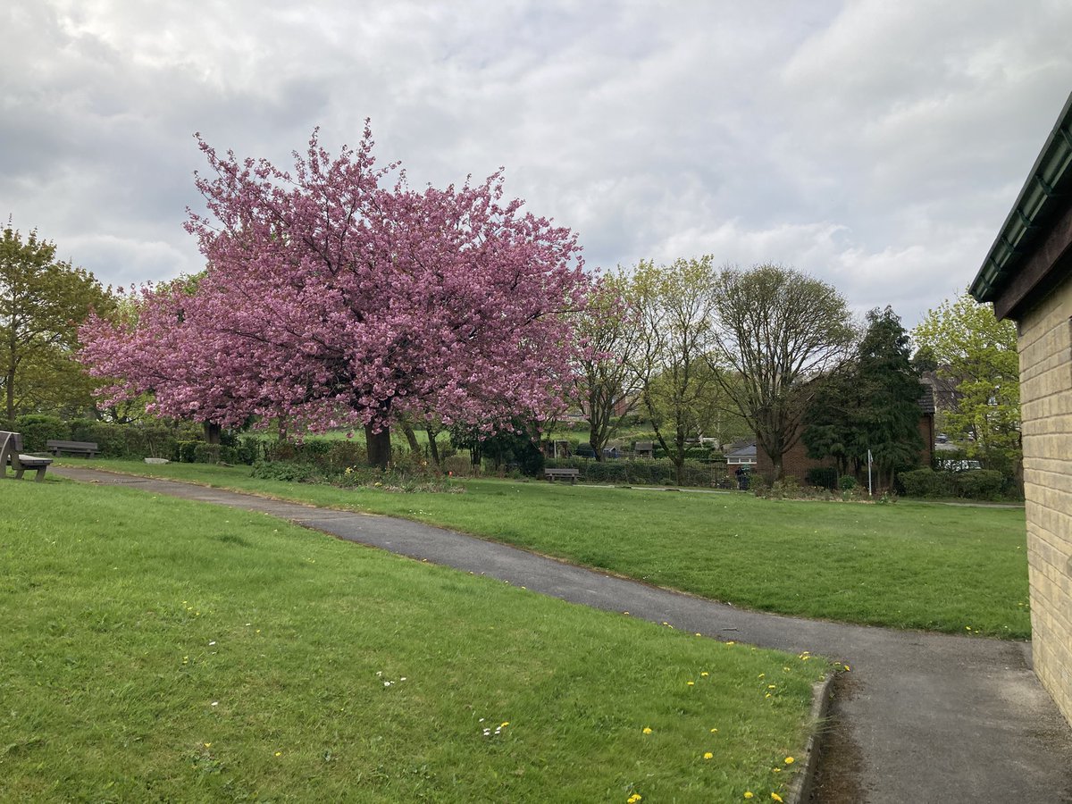 Stannington Library tweet media