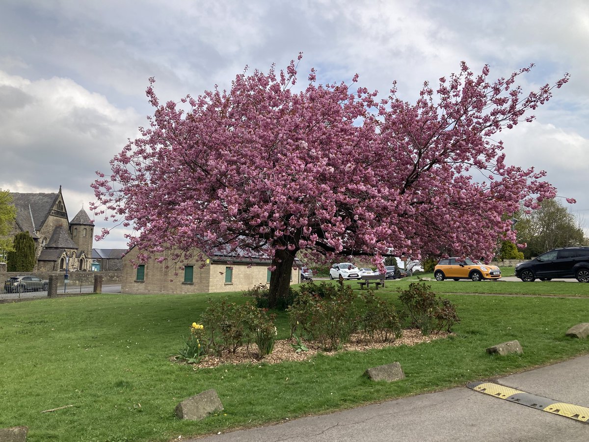 Stannington Library tweet media