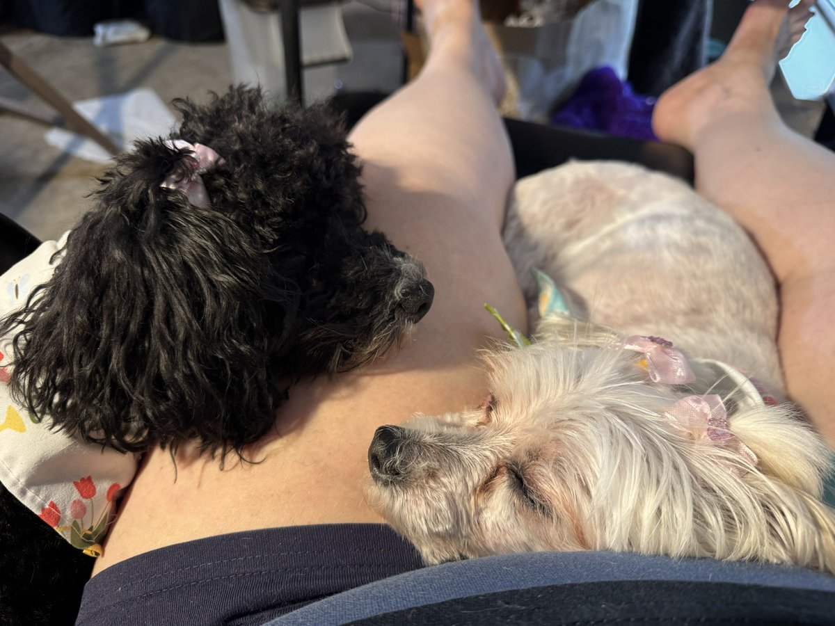 My babies got me trapped!!