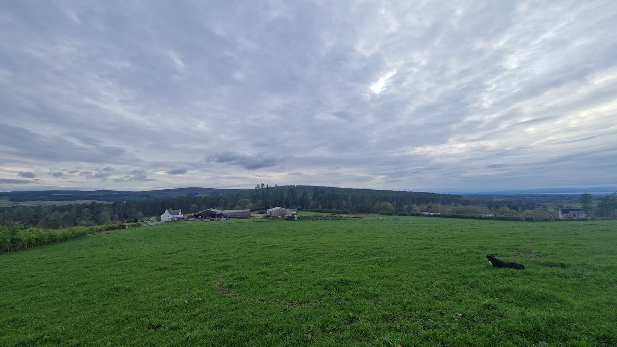 Edinvale Farm 🌱🐂 tweet media