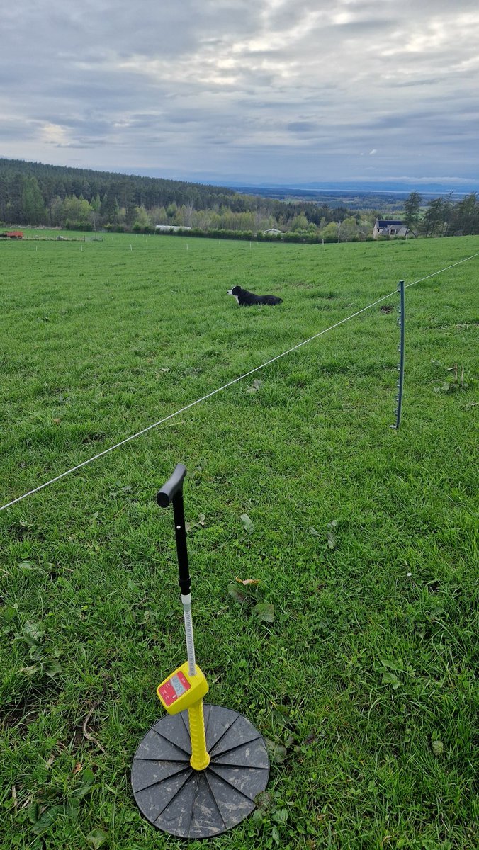 Edinvale Farm 🌱🐂 tweet media