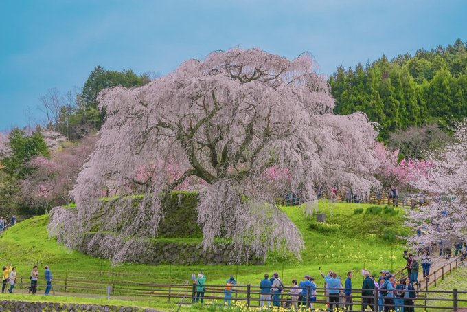 Twitterのコスプレ画像23