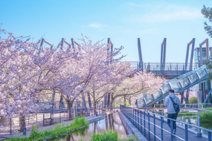 Twitterのコスプレ画像22