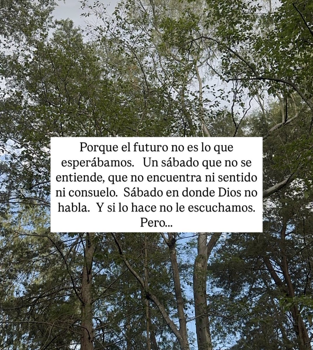 MayaAlonzo's tweet photo. Hay momentos en la vida como el sábado después de la crucifixión.  Eso que se vive entre el dolor y la gloria…. Pero mañana es domingo 🙌🏻♥️ https://t.co/9t7DsfQiwE