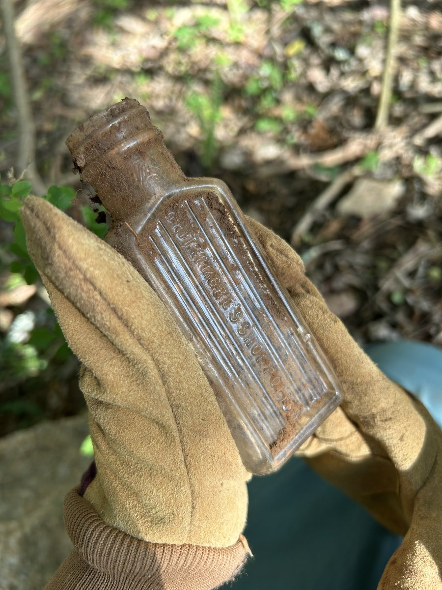 E.L. Lyons, Dark Epic Fantasy Author ✝️ tweet media