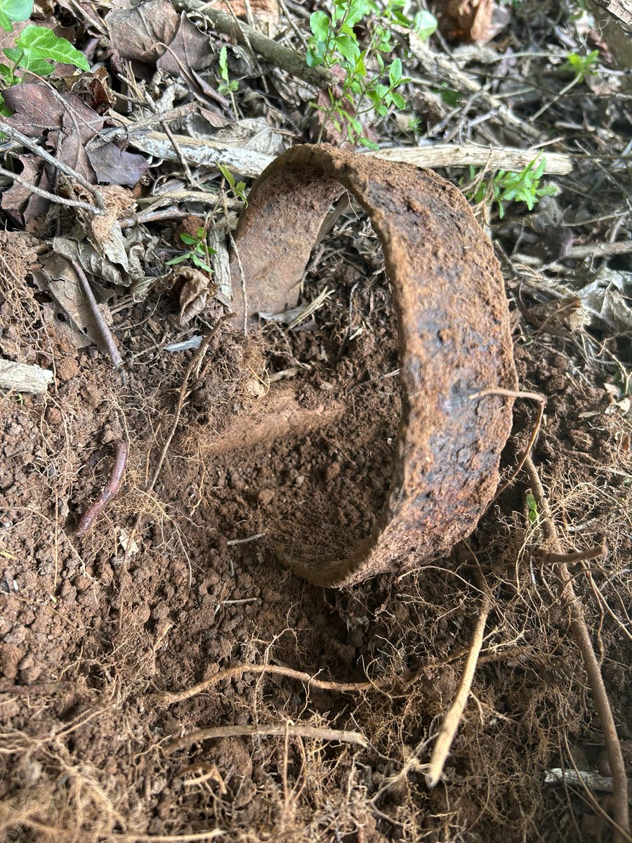 E.L. Lyons, Dark Epic Fantasy Author ✝️ tweet media