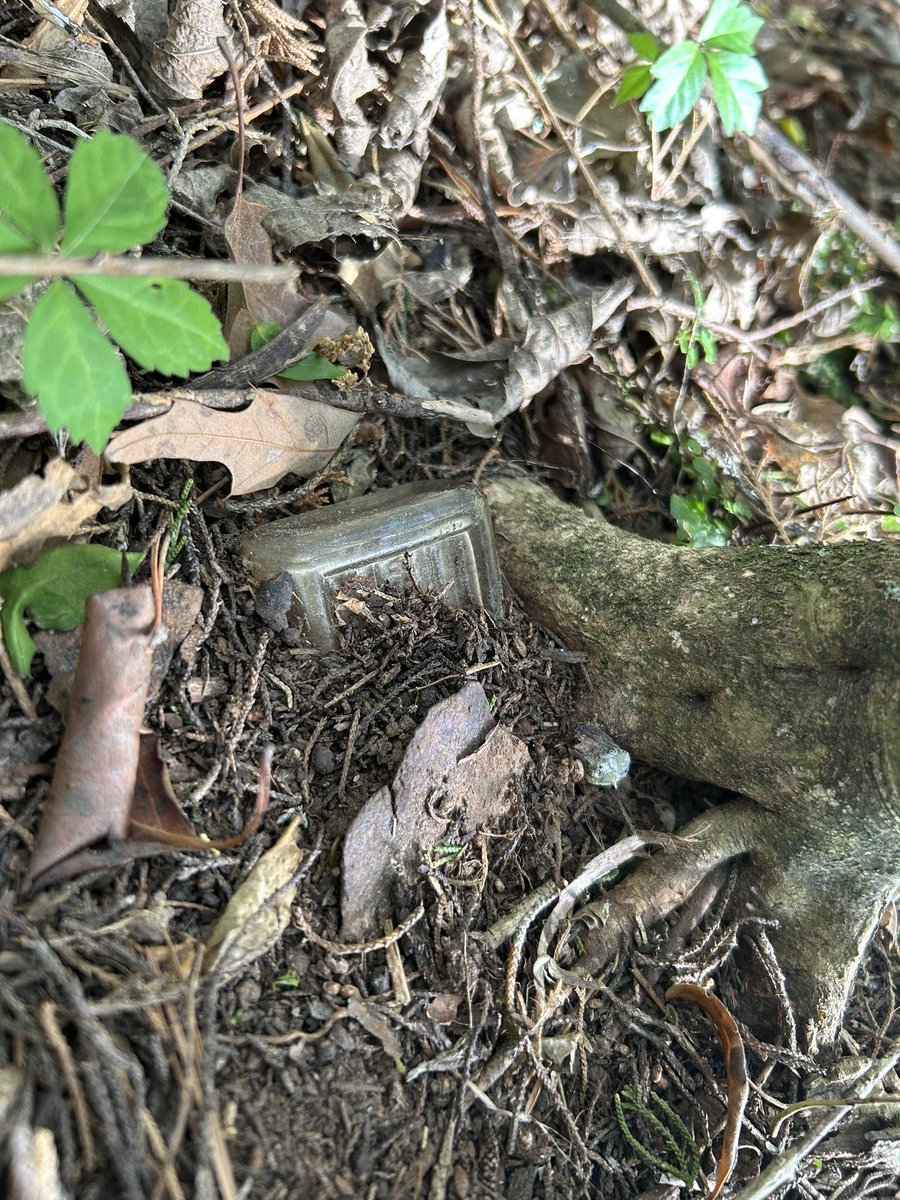 E.L. Lyons, Dark Epic Fantasy Author ✝️ tweet media